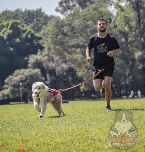 Tobey (Caty x Bento)