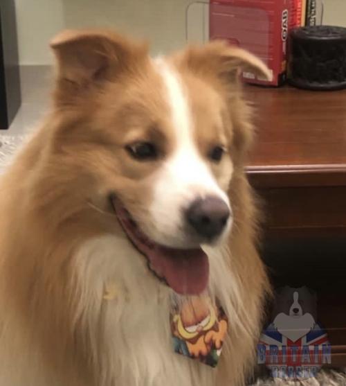 Marley (Tiffany x Jeff)