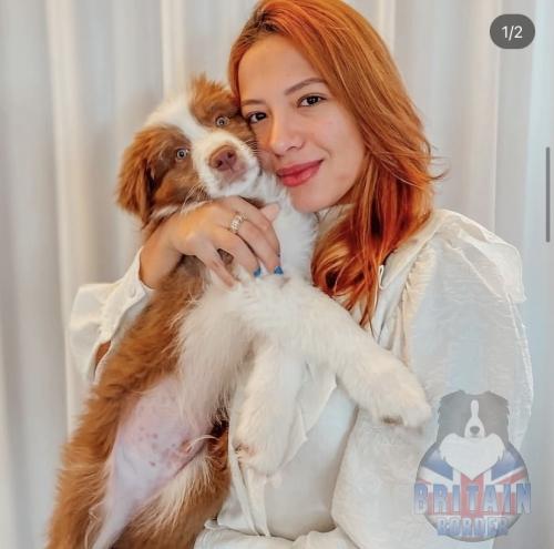 Meliodas (Gaya x Jack)