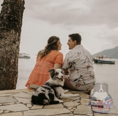 Alaska (Pandora x Bento)