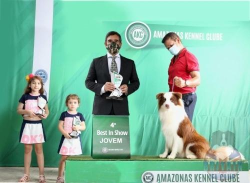 Chewie (Caty x Jack)